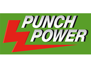Logo PUNCH POWER